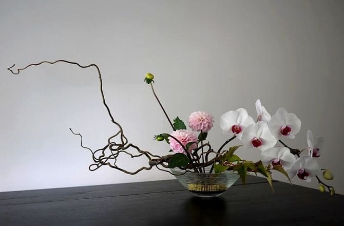 DIY Ikebana: wie man eine Komposition aus Pflanzen macht (+ Bonusvideo) 9