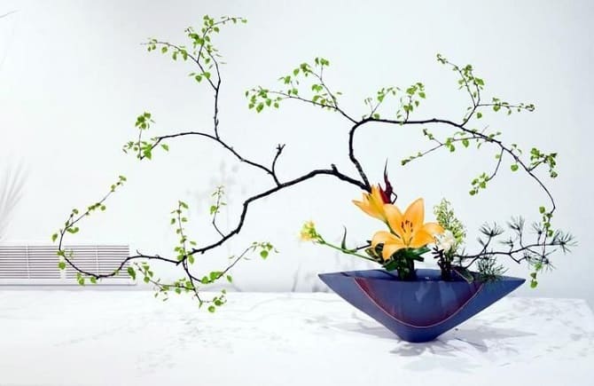 DIY Ikebana: wie man eine Komposition aus Pflanzen macht (+ Bonusvideo) 10