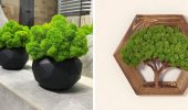 Preserved Moss Crafts: The Coolest Ideas