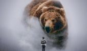 К чему снится медведь