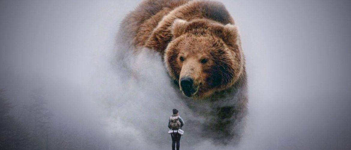 К чему снится медведь