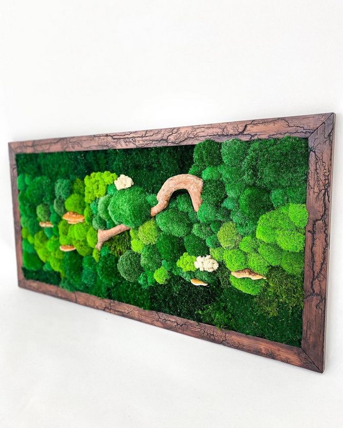 Preserved Moss Crafts: The Coolest Ideas 23