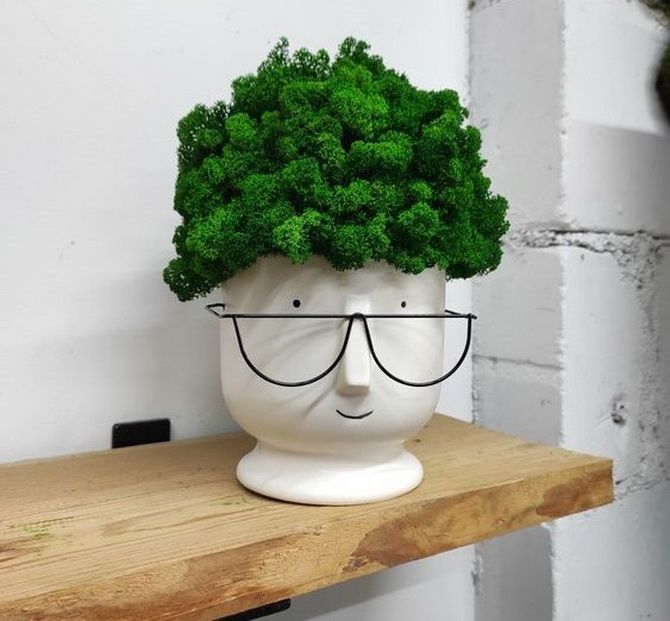 Preserved Moss Crafts: The Coolest Ideas 14