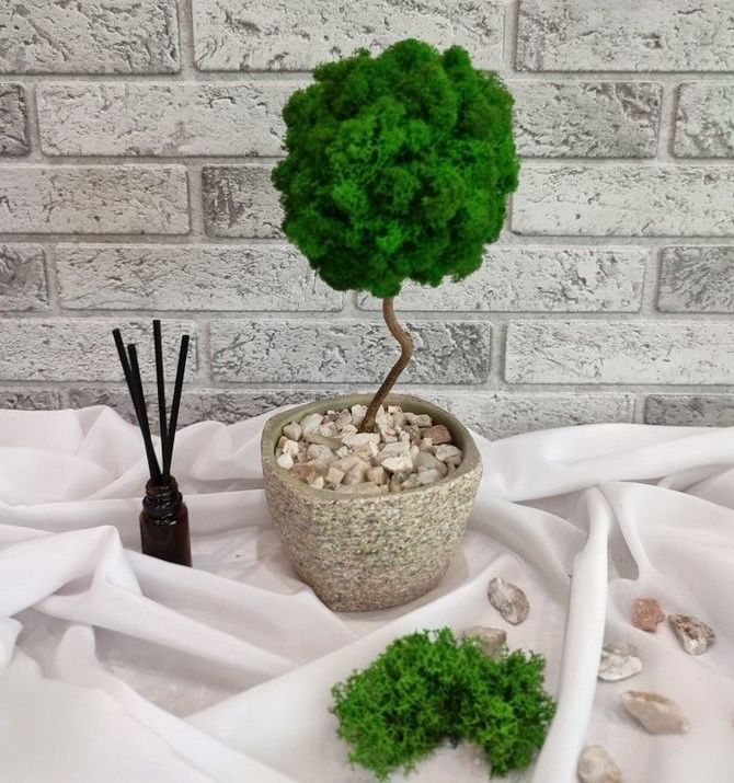 Preserved Moss Crafts: The Coolest Ideas 26