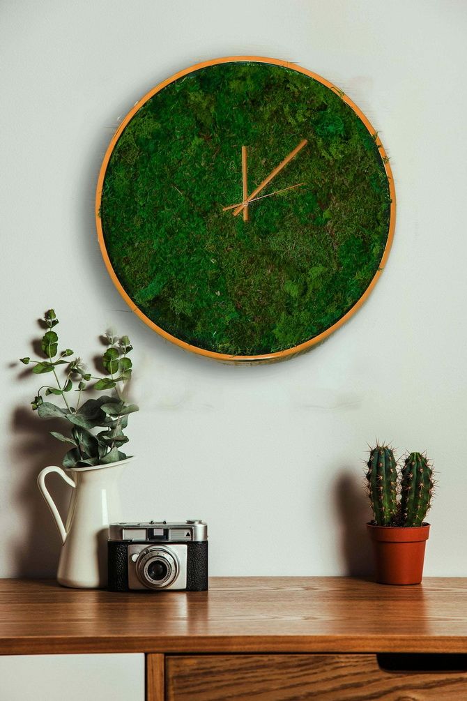 Preserved Moss Crafts: The Coolest Ideas 8