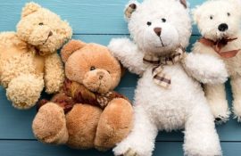 Мягкие медведи: реалистичные, сказочные и гигантские
