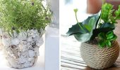 DIY Flower Pot Decor: Creative Design Ideas