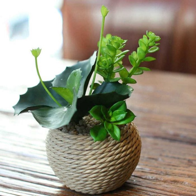 DIY Flower Pot Decor: Creative Design Ideas 5
