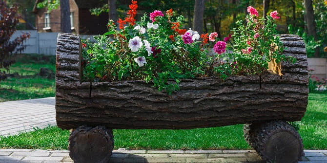 DIY mini-flower beds: decor ideas with photos (+ bonus video) 4