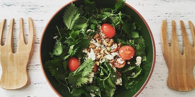 What to cook from nettle: 4 healthy dishes for every day (+ bonus video) 3