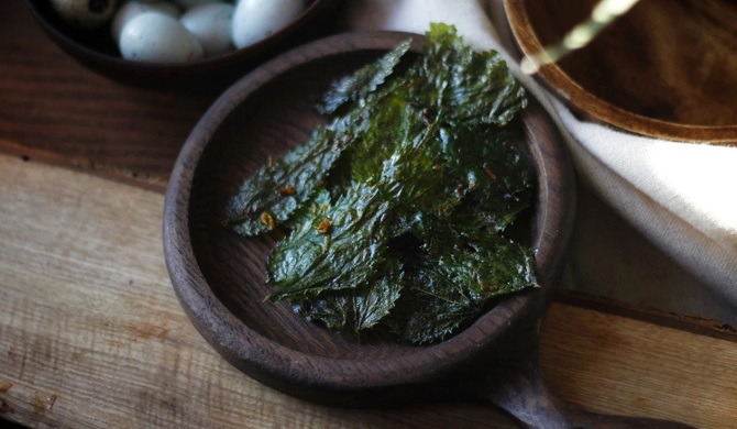 What to cook from nettle: 4 healthy dishes for every day (+ bonus video) 4