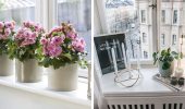 Fensterbankdekoration mit Zimmerblumen: originelle Ideen mit Fotos