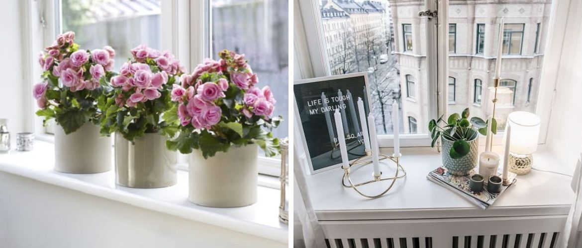 Window sill decor with indoor flowers: original ideas with photos