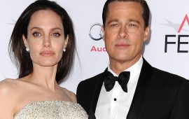 Анджелина Джоли и Брэд Питт закончили бракоразводные тяжбы
