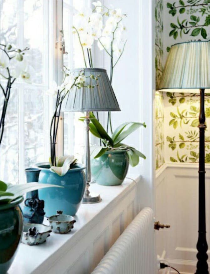 Fensterbankdekoration mit Zimmerblumen: originelle Ideen mit Fotos 3