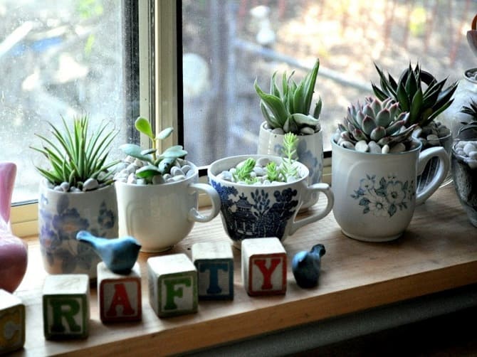 Window sill decor with indoor flowers: original ideas with photos 14