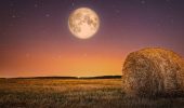 Full Moon September 2023: When is the Harvest Moon