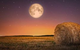 Full Moon September 2023: When is the Harvest Moon