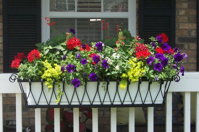 Идеи и способы, как озеленить балкон с помощью кашпо 9