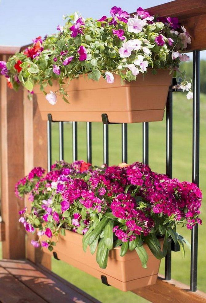 Ideen und Möglichkeiten, einen Balkon mit Pflanzgefäßen zu bepflanzen 12