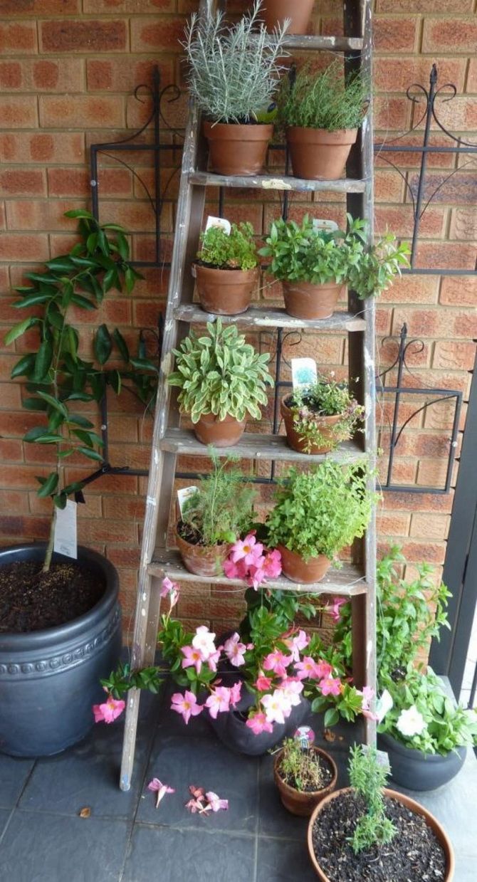 Ideen und Möglichkeiten, einen Balkon mit Pflanzgefäßen zu bepflanzen 7