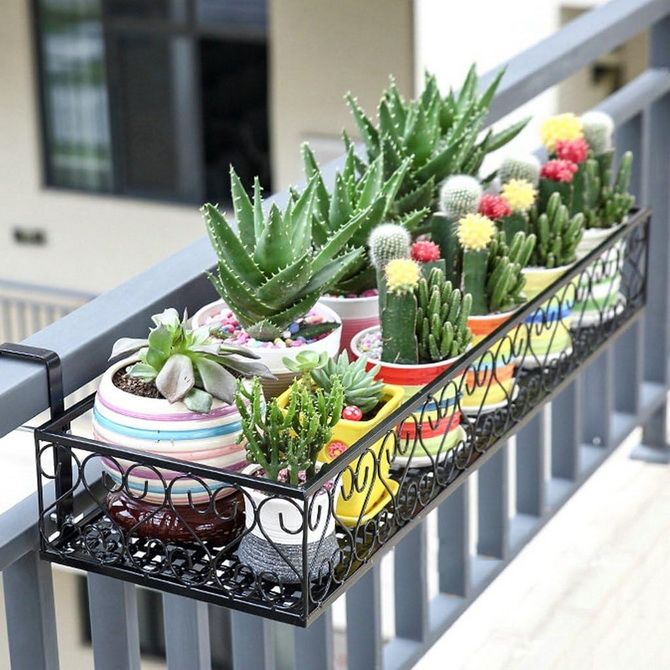 Ideen und Möglichkeiten, einen Balkon mit Pflanzgefäßen zu bepflanzen 10