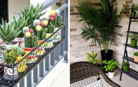 Идеи и способы, как озеленить балкон с помощью кашпо