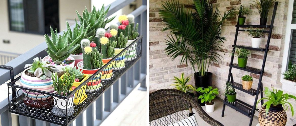 Ideas and ways to plant a balcony with planters
