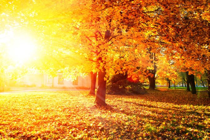 Numerology of autumn 2023 – what awaits us during this period? 3