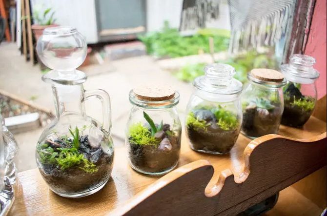 The green world in miniature: how to make a florarium with your own hands (+ bonus video) 10