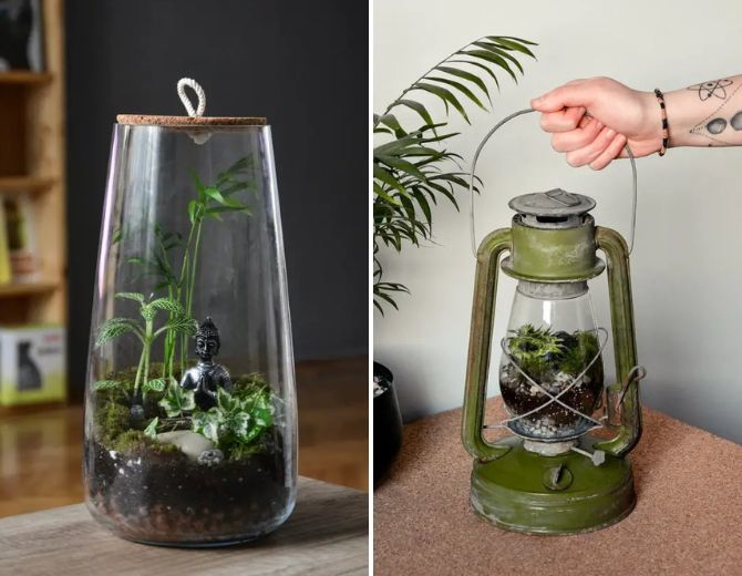 The green world in miniature: how to make a florarium with your own hands (+ bonus video) 12