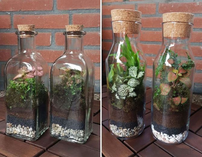 The green world in miniature: how to make a florarium with your own hands (+ bonus video) 13