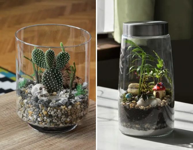 The green world in miniature: how to make a florarium with your own hands (+ bonus video) 14