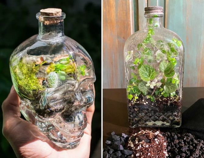 The green world in miniature: how to make a florarium with your own hands (+ bonus video) 15