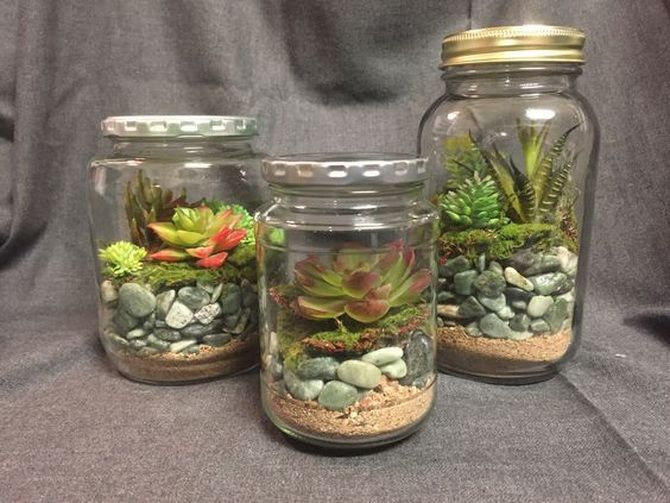 The green world in miniature: how to make a florarium with your own hands (+ bonus video) 6