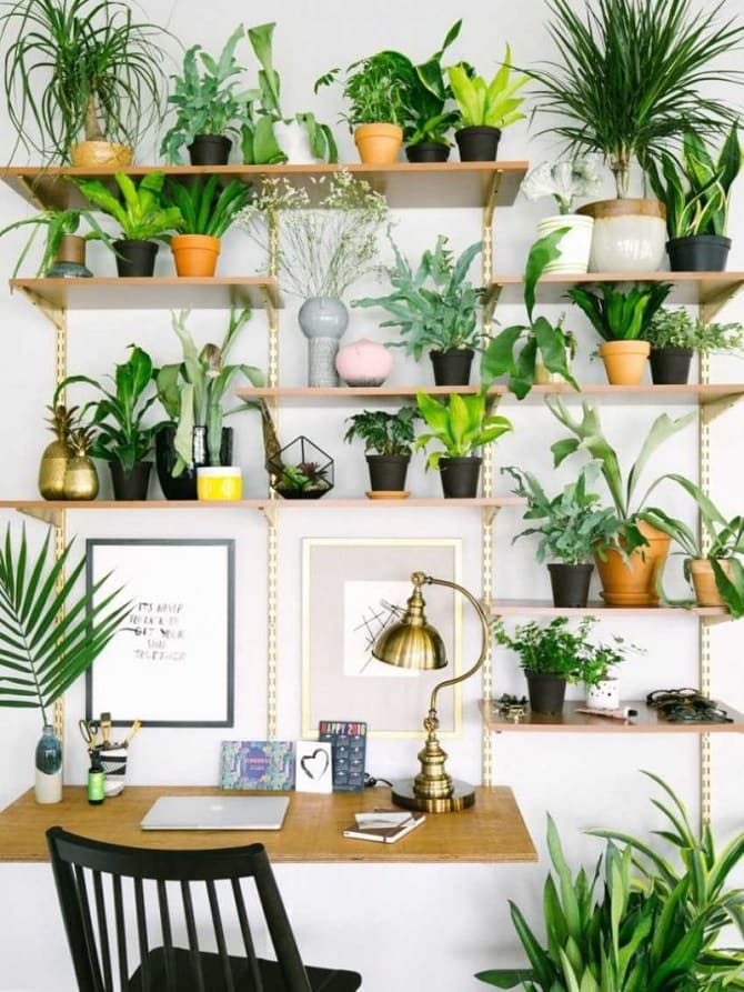 DIY flower shelves: interesting ideas with photos 8