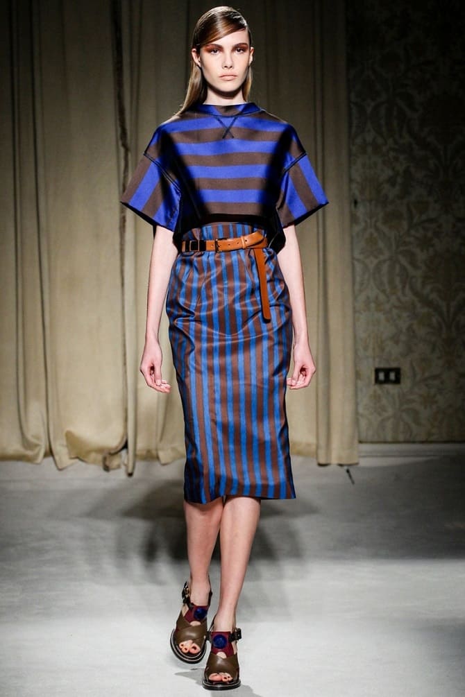 Fashionable striped skirts for fall 2023: current models 6