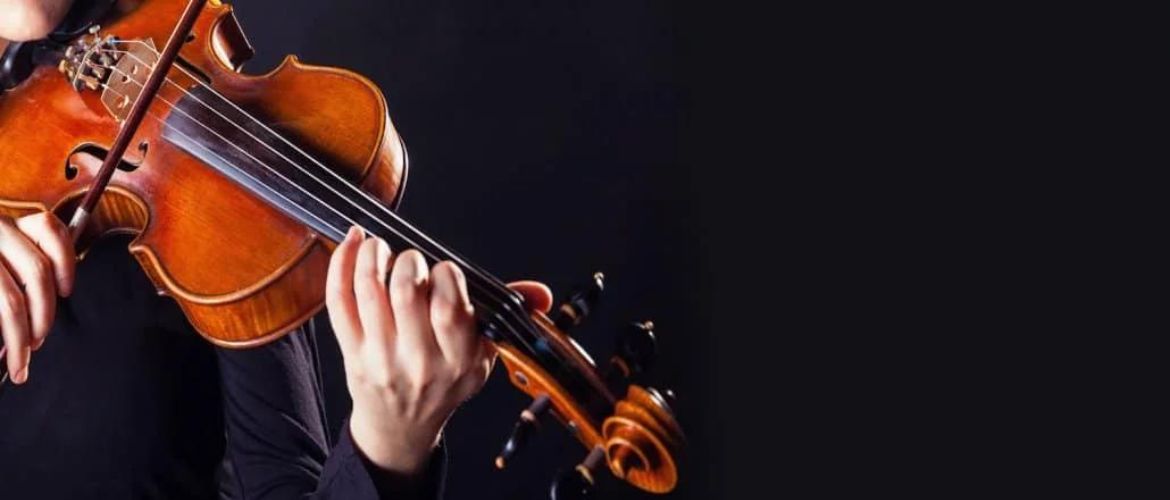 Скрипки — разнообразие, материалы и производство