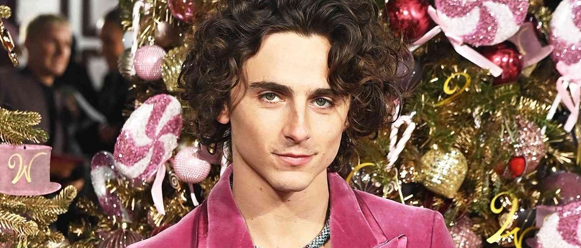 Timothée Chalamet chose a bad look for the premiere of the film “Wonka”