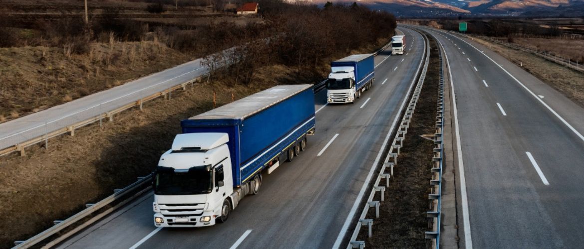 Доставка грузов в Литву: выбирайте надежность и качество услуг