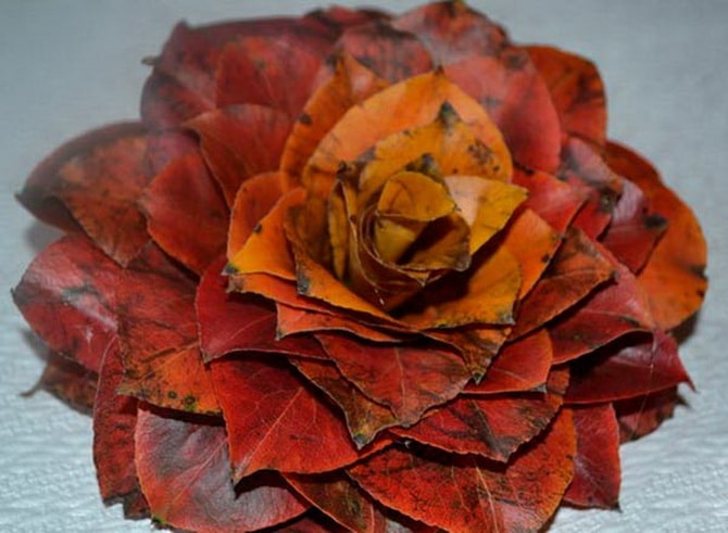Creativity with nature: ideas for crafts from autumn leaves 8