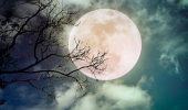 Full moon in February 2024: date and time of occurrence