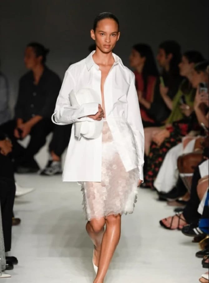 Fashionable transparent skirts for spring 2024: current trends 1