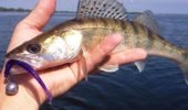 Искусство Джига: Как джиговая головка становится незаменимым помощником в мире рыбной ловли