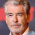 Pierce Brosnan will pay a fine for illegally trespassing on park territory