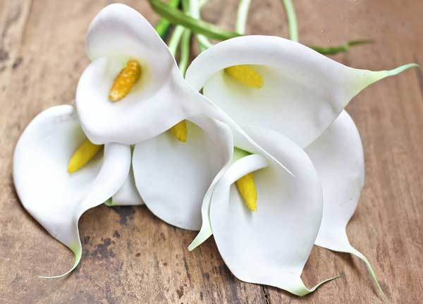 How to make a calla flower from foamiran with your own hands (+ bonus video) 1