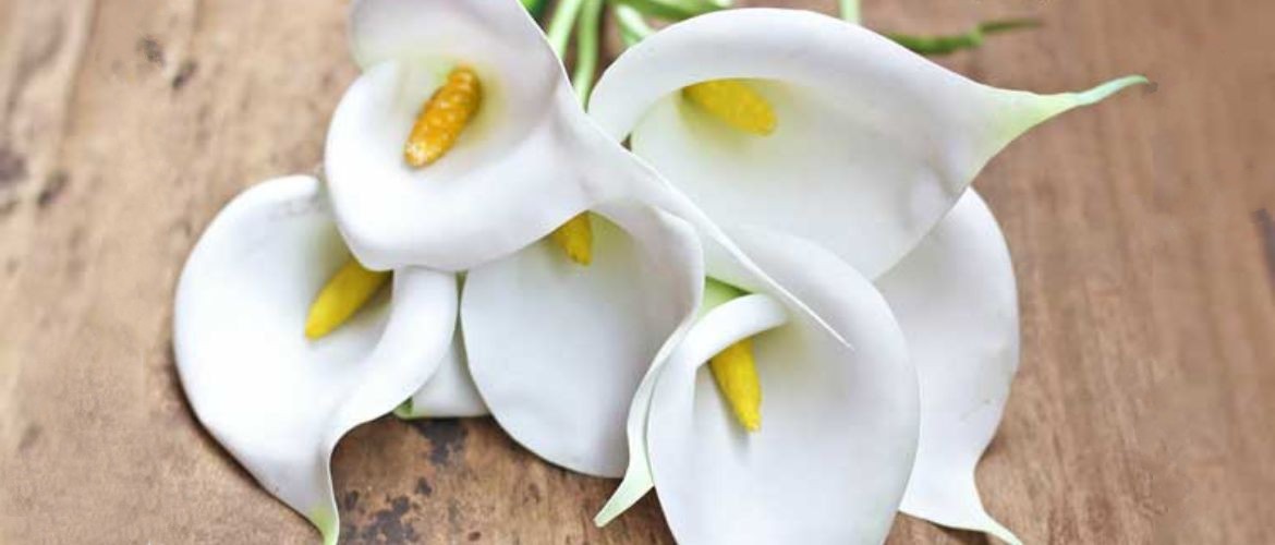 How to make a calla flower from foamiran with your own hands (+ bonus video)