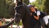 Польза тренировок по конному спорту