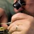Мастерство и надежность: профессиональный ремонт швейцарских часов в Киеве