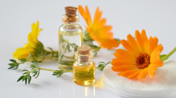 Beauty from nature: the best facial oils and their properties 4